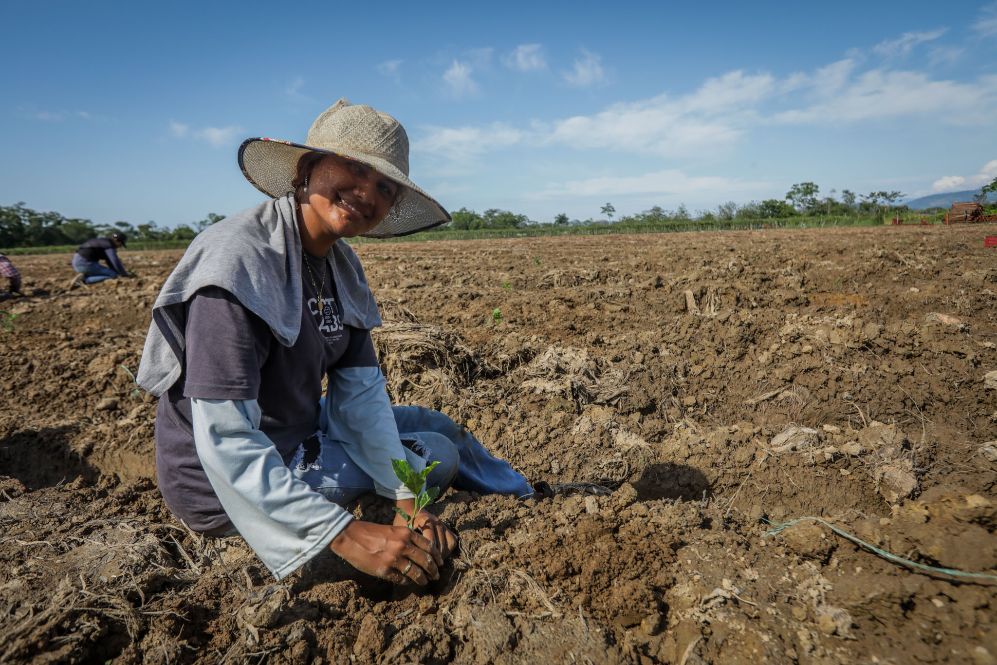Agricultura campesinos