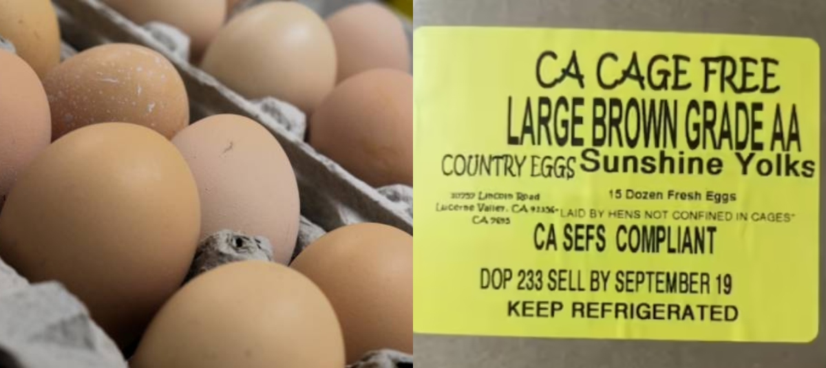 Huevos con salmonela