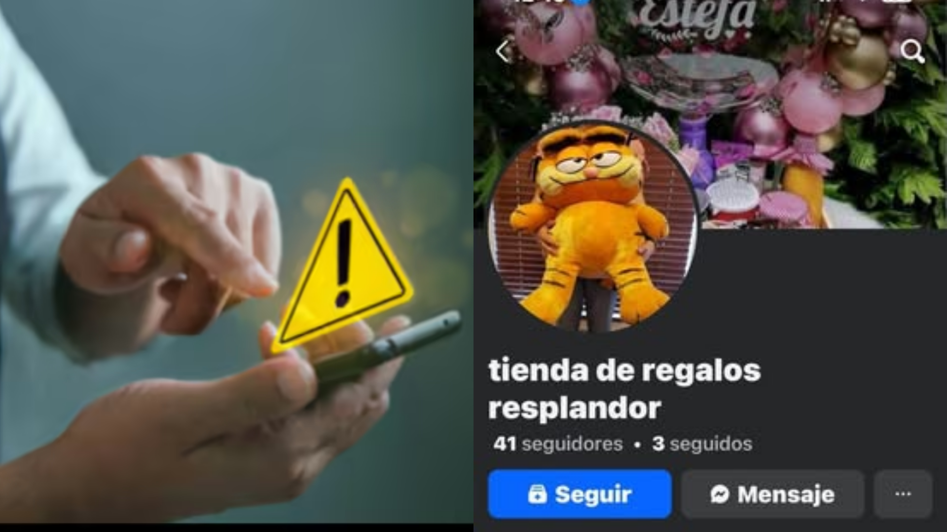 Los delincuentes están engañando a los ciudadanos por medio de  páginas falsas.