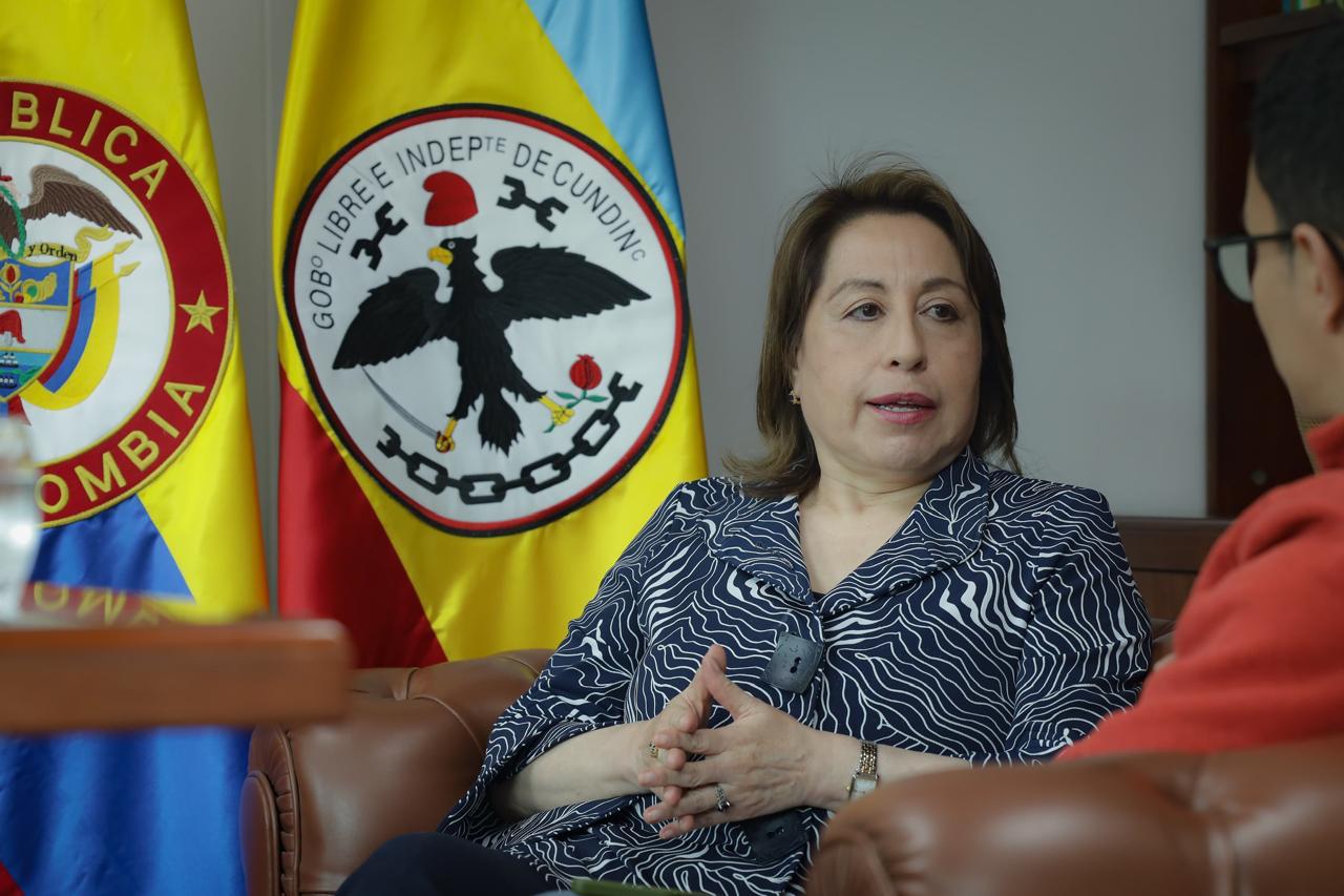 Carmen Amparo Ponce Delgado, presidenta del Tribunal Administrativo de Cundinamarca,