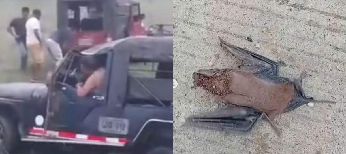 El vehículo cubría la ruta Carrillo–Cereté y transportaba a alumnos hacia el corregimiento La Madera.