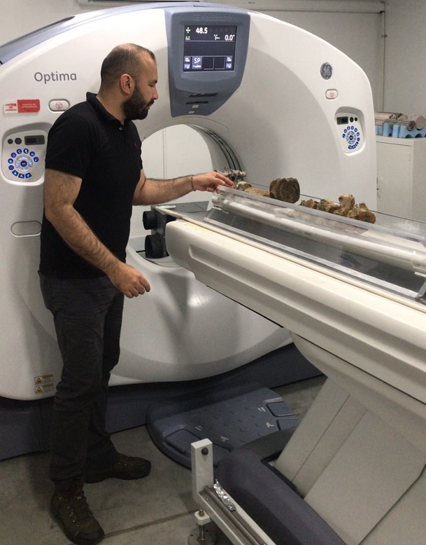 Hallan una vértebra fósil atribuida a un pliosáurido