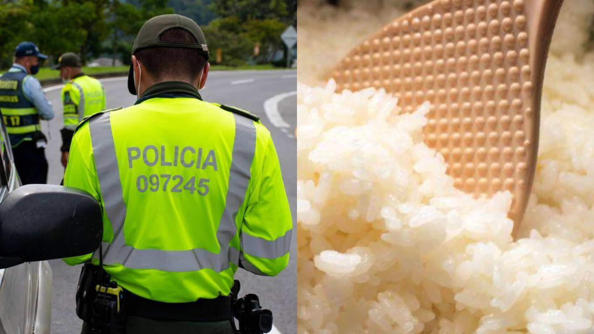 Las a prehensiones se realizaron durante el transcurso del año 2024 y lo corrido del año 2025.