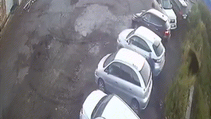 Video | Brutal ataque de un oso pardo a tres personas en pleno centro de una ciudad en Rusia: mató a anciana de 84 años