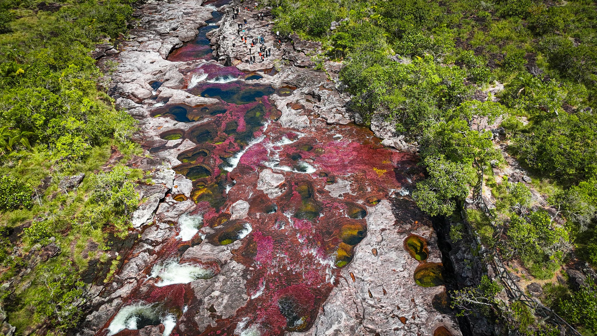 Caño Cristales La Macarena Meta