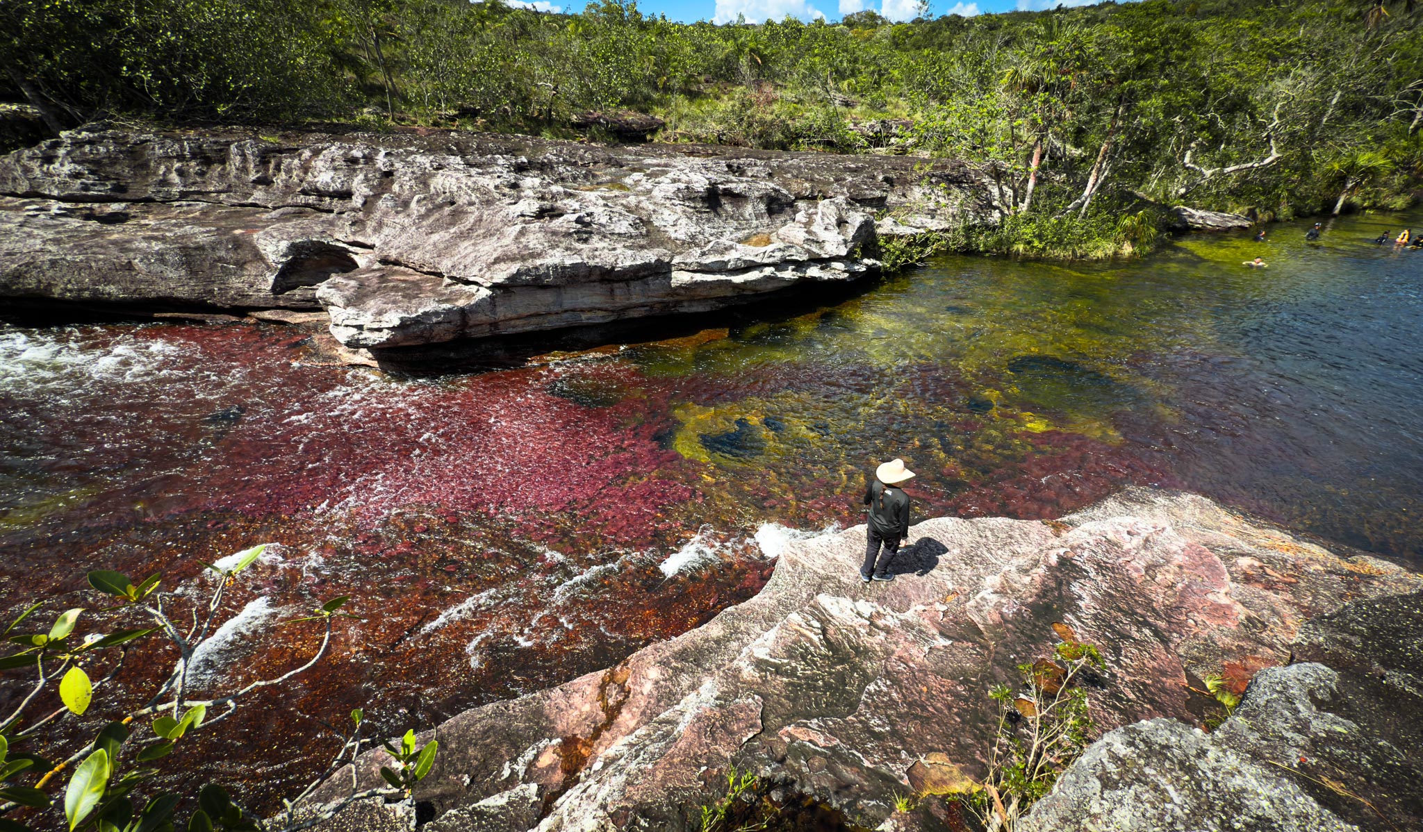 Caño Cristales La Macarena Meta