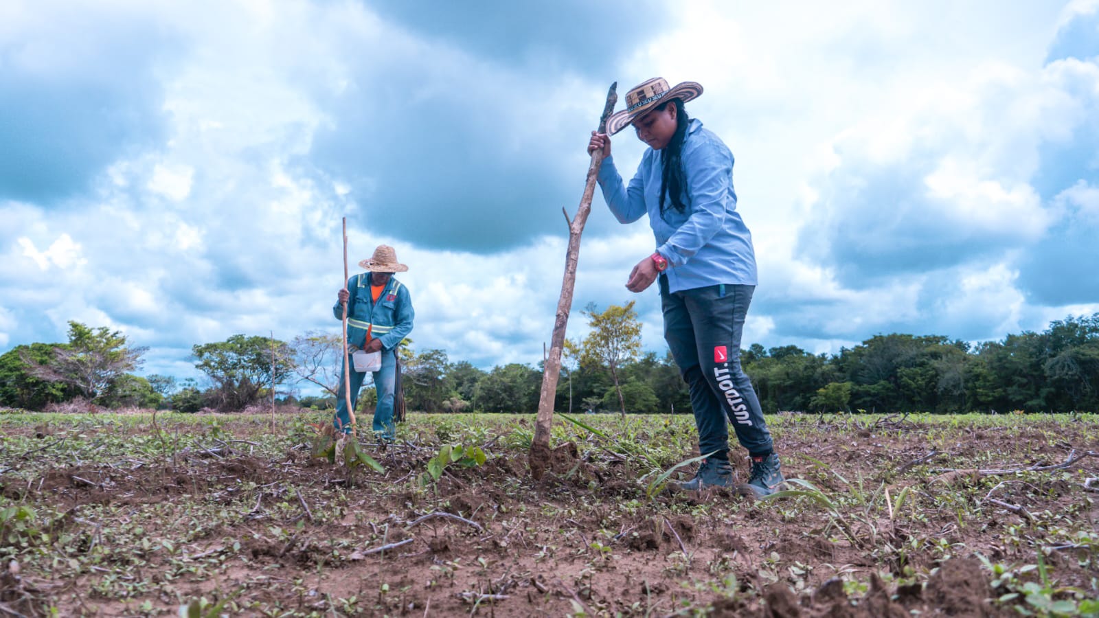 Los campesinos trabajan la tierra que les entregó el gobierno nacional.