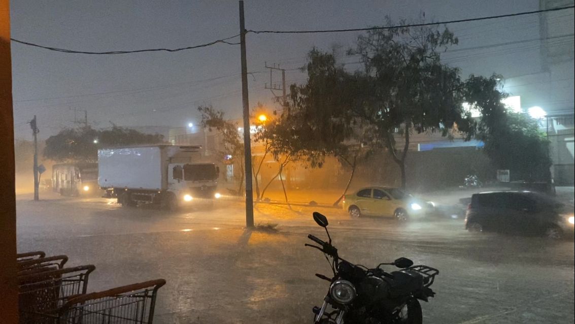 Camilo Alvarez Peñaloza