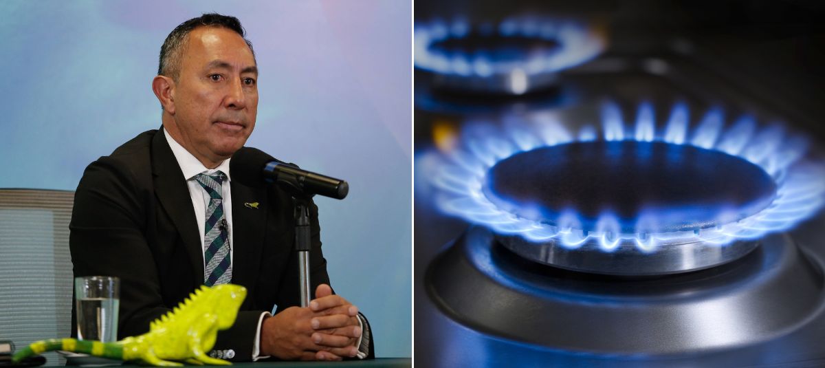 Presidente de Ecopetrol, Ricardo Roa.