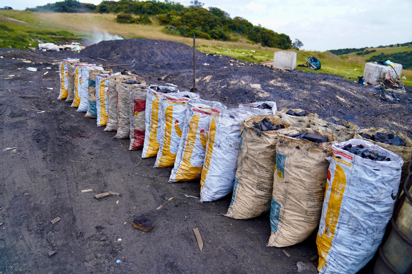actividad ilegal de producción de carbón vegetal en la vereda La Quiba