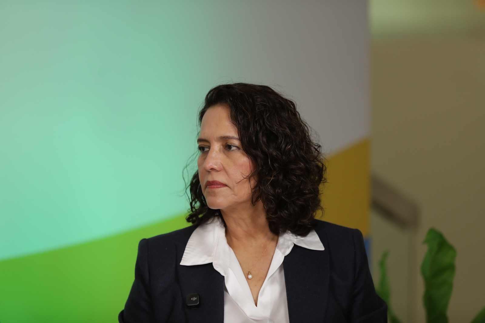 Nancy Patricia Gutiérrez, delegada del Consejo Nacional Electoral