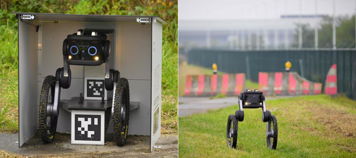 Suricata Robot