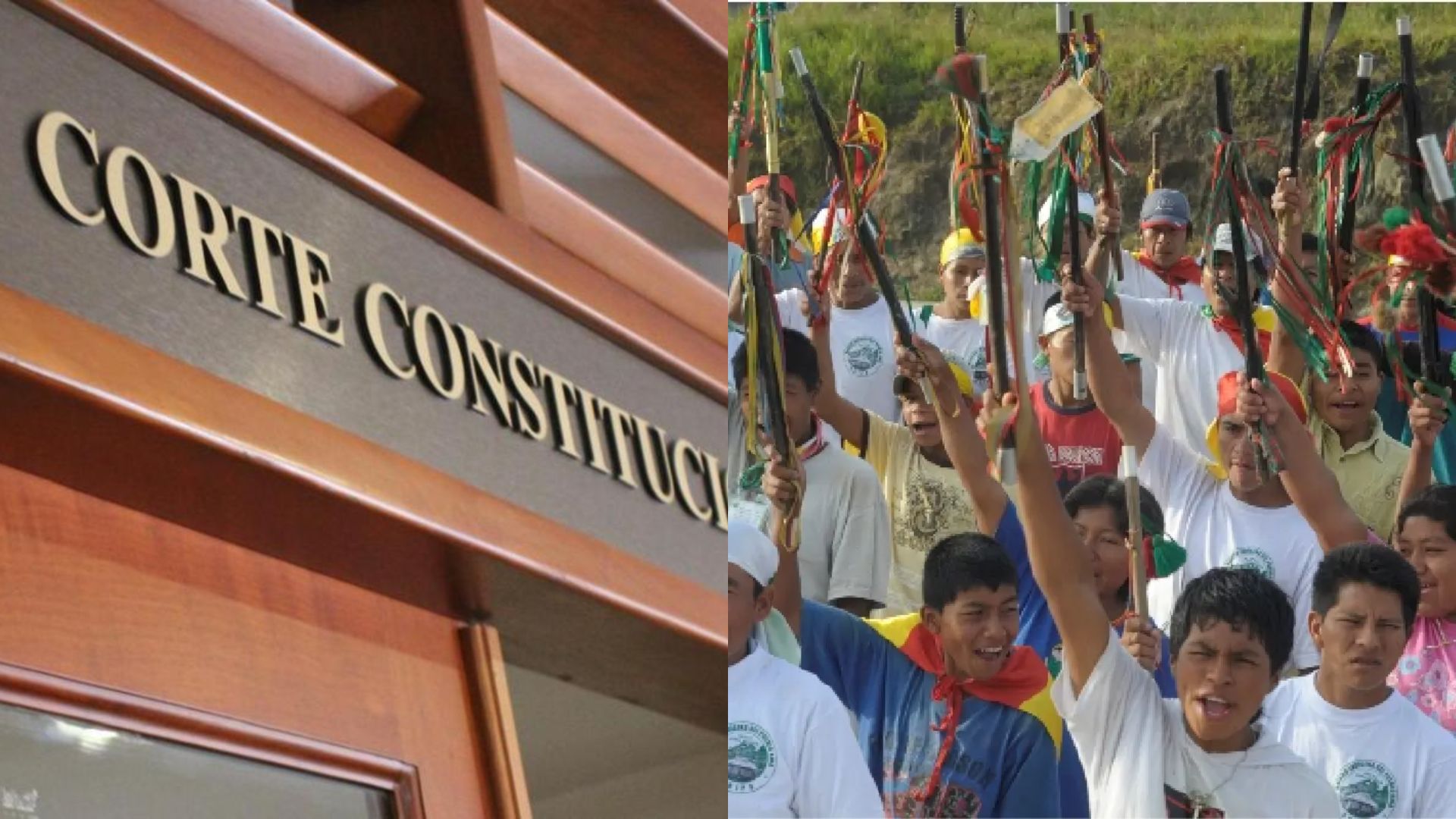 Corte Constitucional