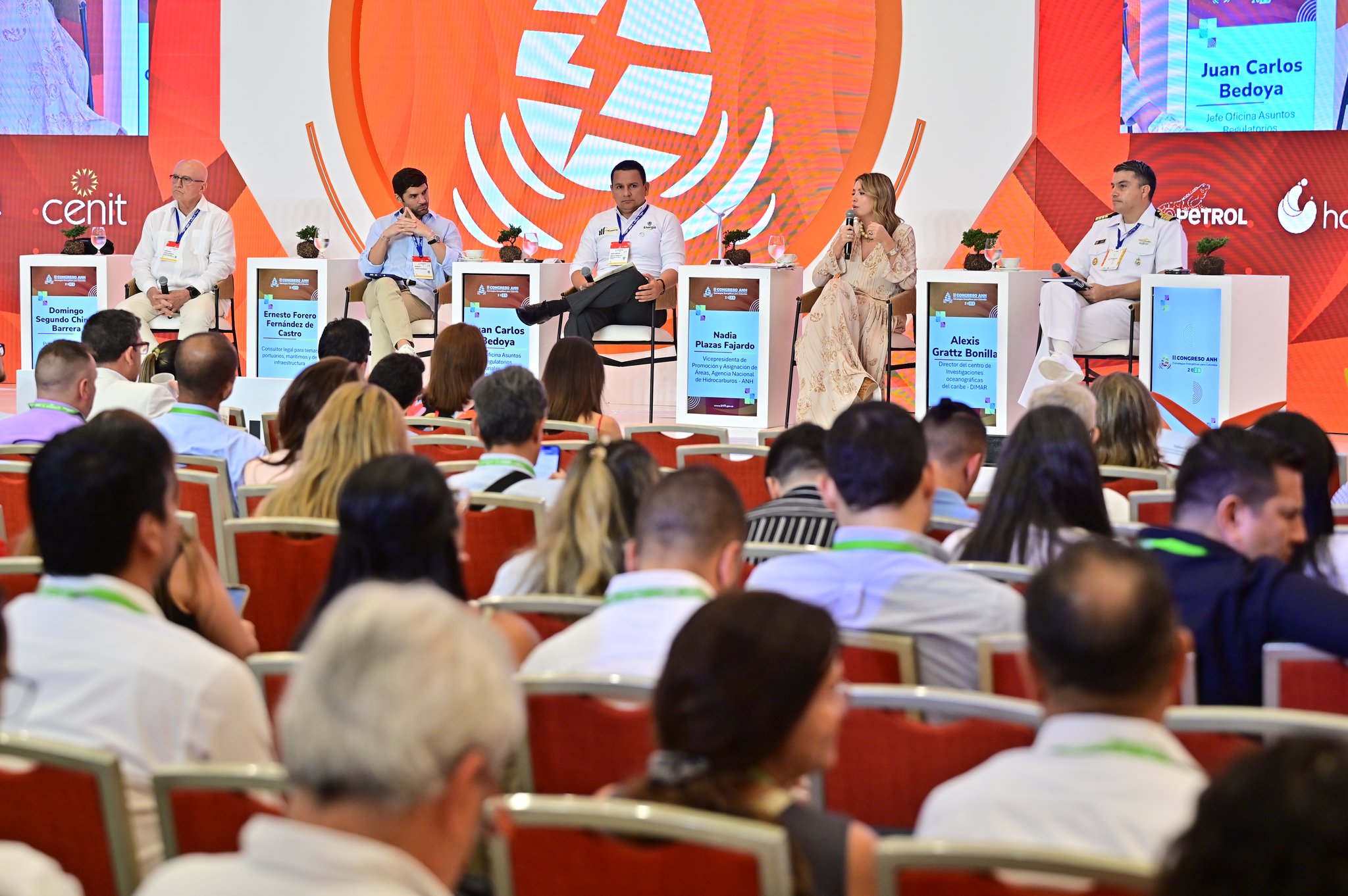 II Congreso ANH