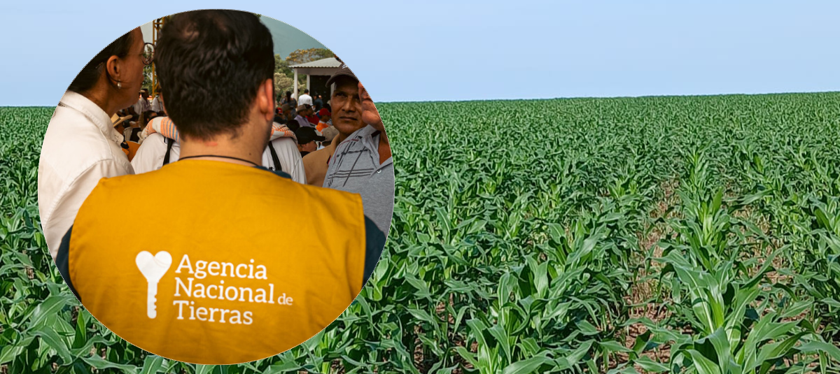 Las dos caras de la moneda de la denuncia de campesinos en Puerto Gaitán (Meta) sobre presunto despojo de tierras por parte de la Agencia Nacional de Tierras.