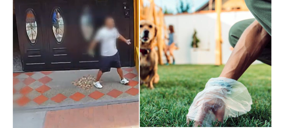 Por las heces de un perro, un hombre agredió y amenazó a su vecino con un arma en Bogotá | ciudadtv