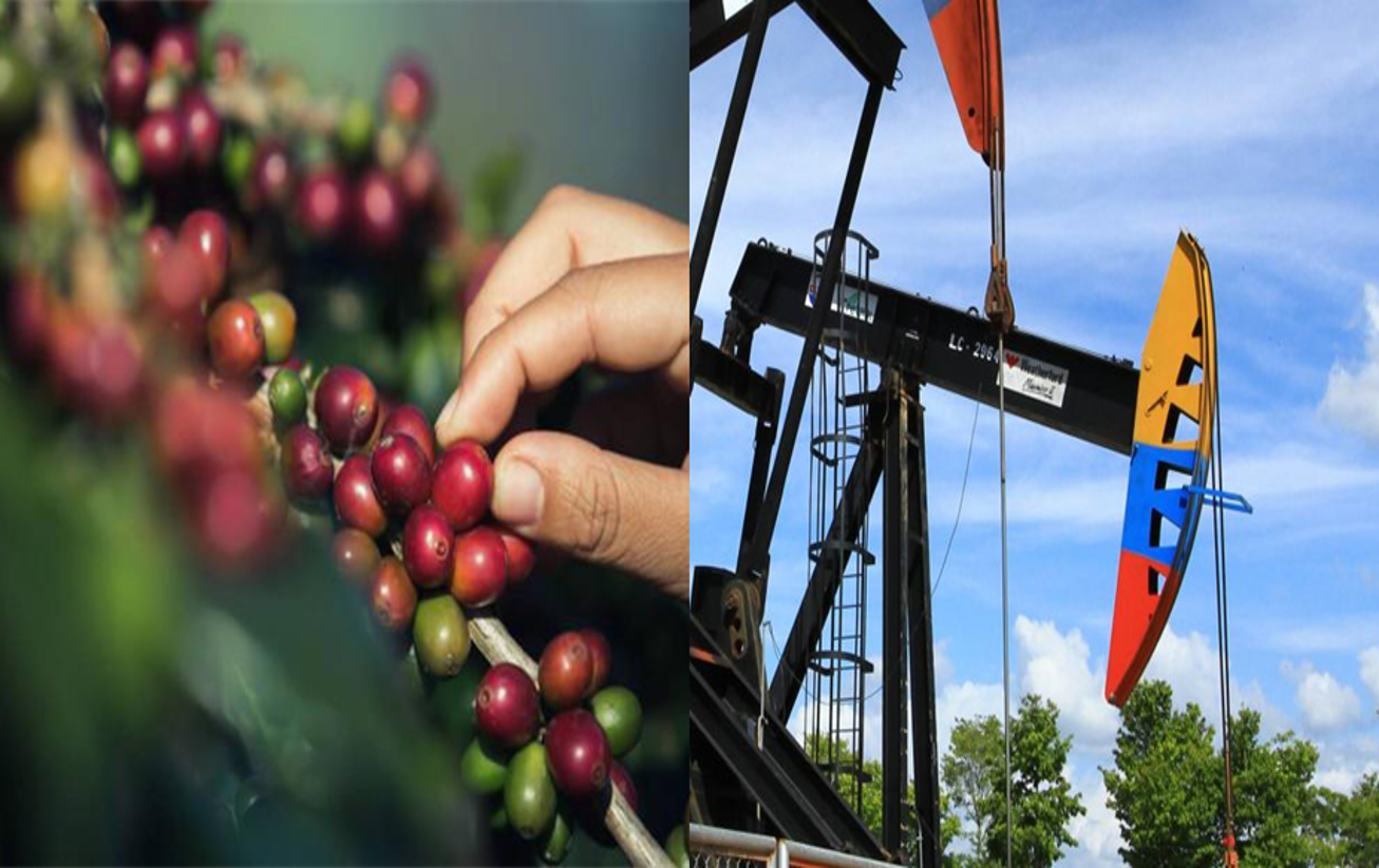 Café y Petróleo