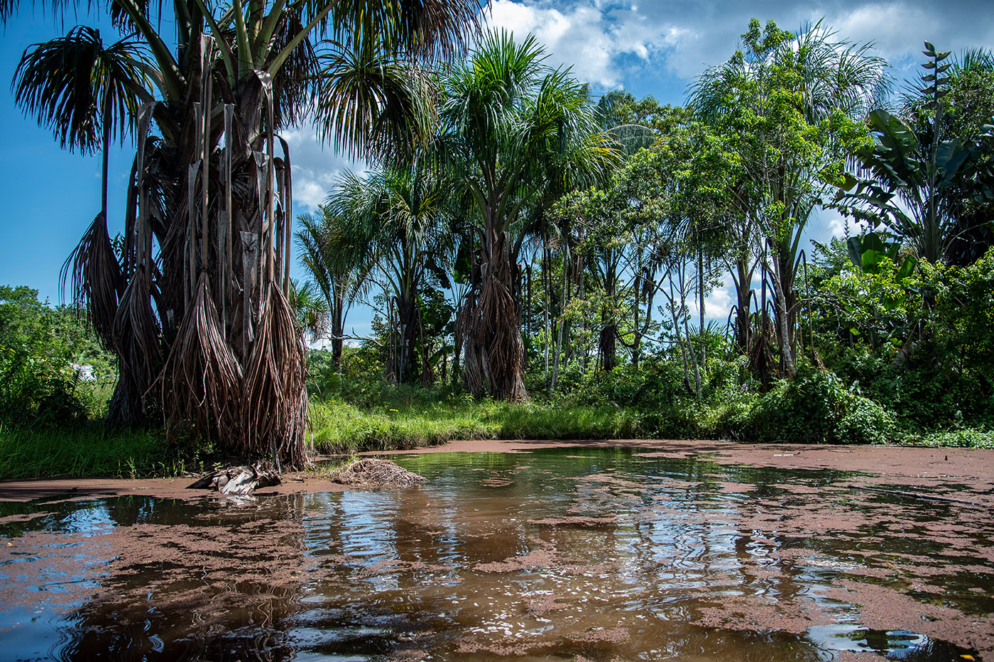 Ocho territorios indígenas de la Amazonia colombiana alcanzan autonomía ...