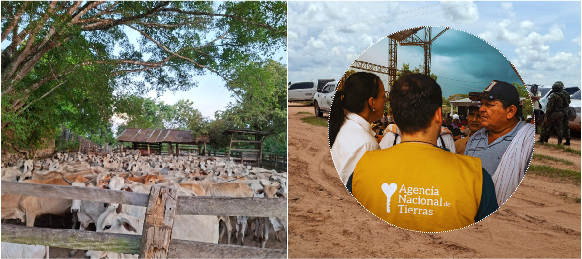 Las fincas enfrentan problemas con la ANT.