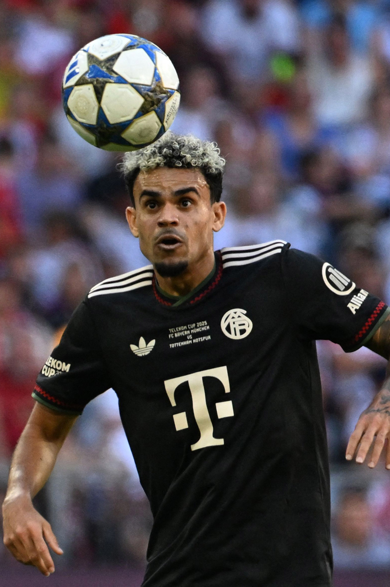 luis diaz