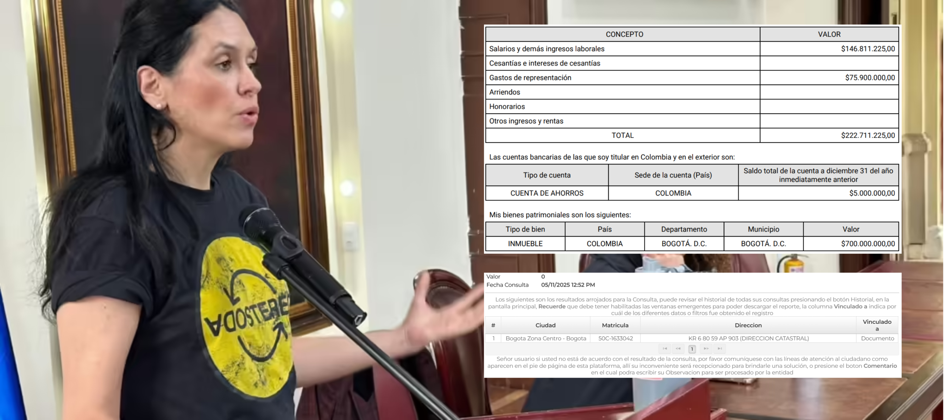 pizarro portada propiedades