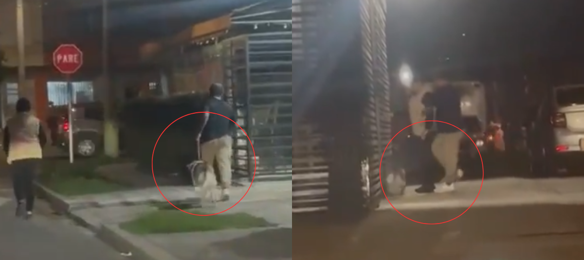 Maltrato animal en Bogotá.