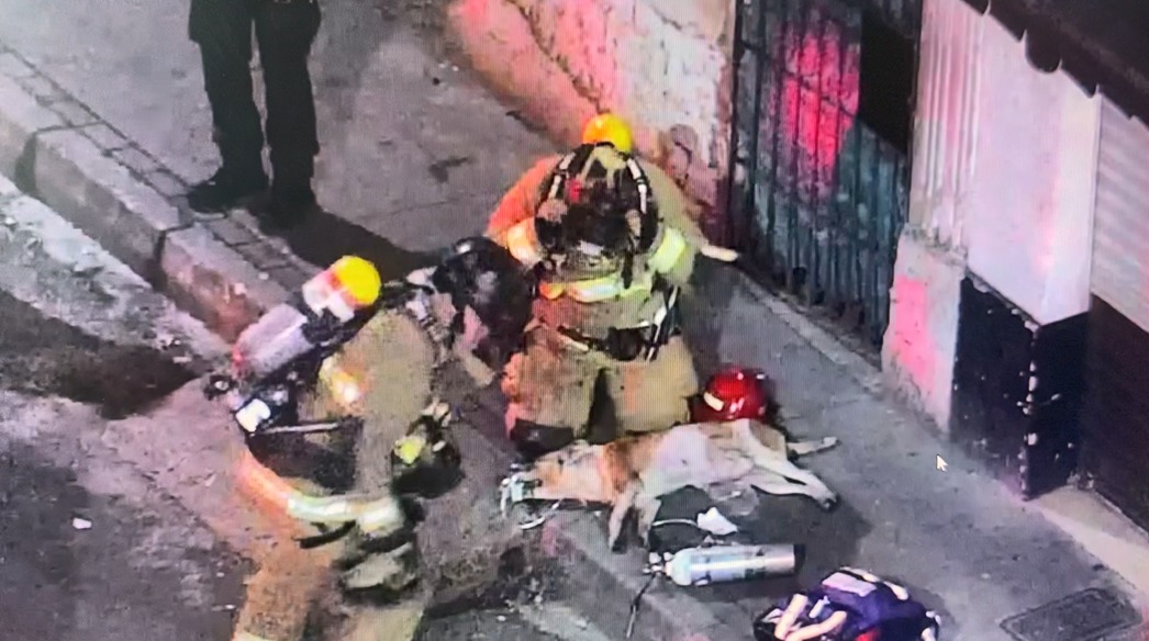 Los bomberos de Medellín tuvieron que reanimar a un perro que resultó asfixiado a raíz de un incendio en un local comercial de Villa Nueva.