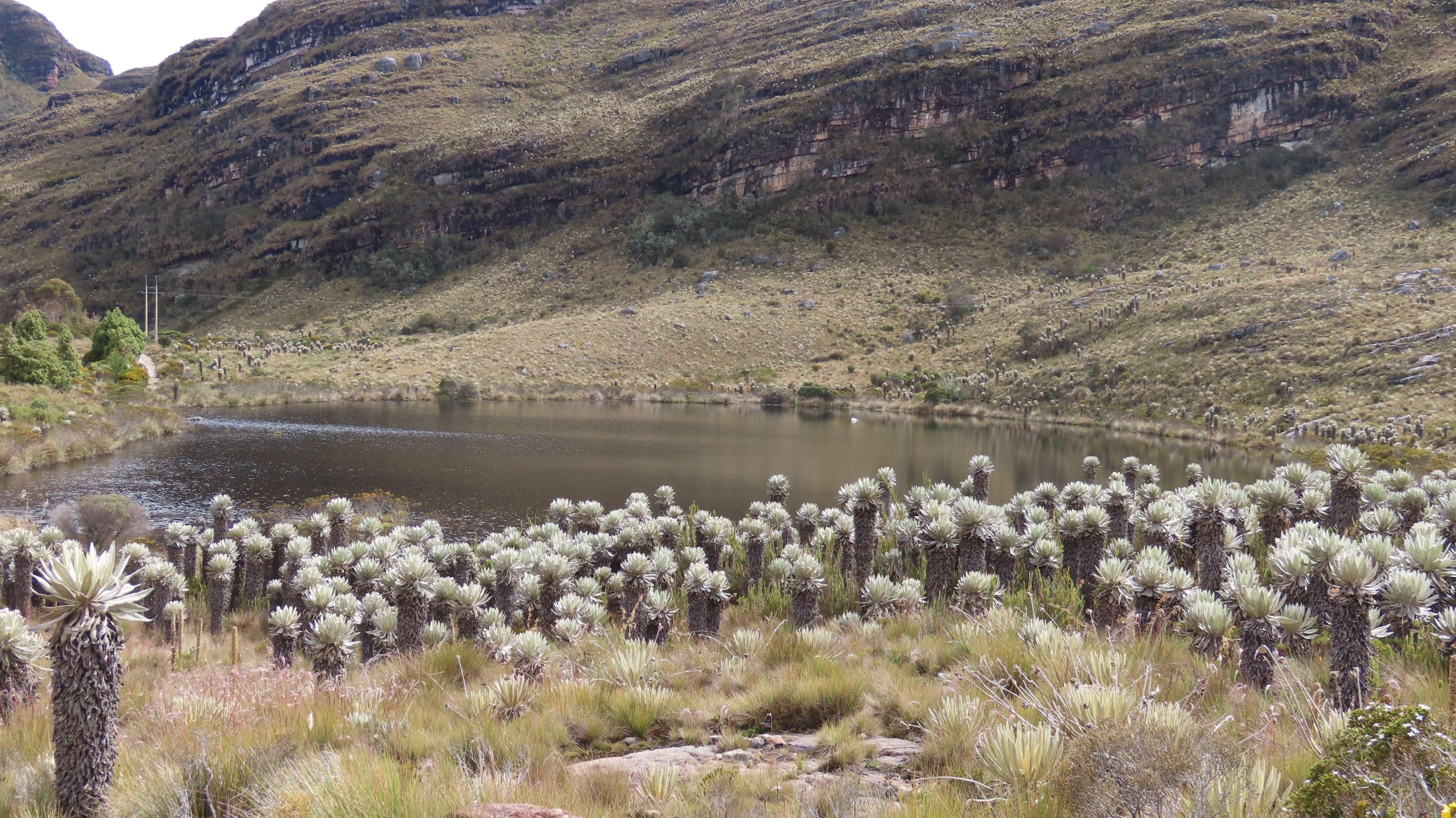 Parques Nacionales Naturales