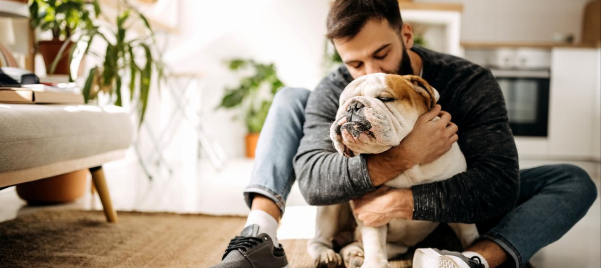 Perros