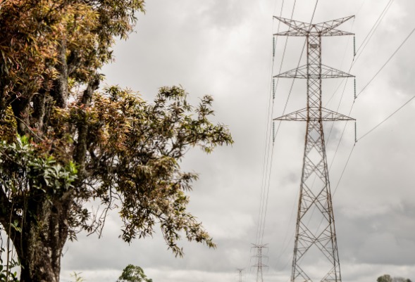 La Compañía Energética de Occidente