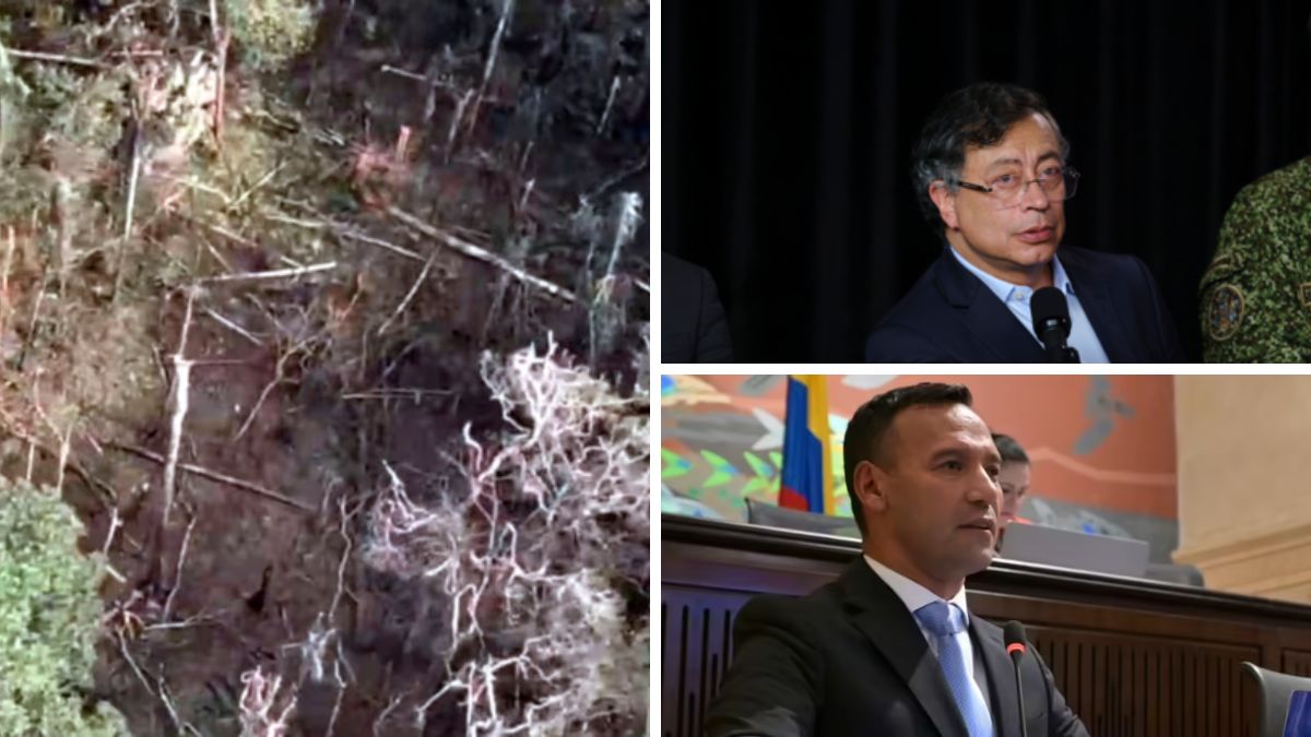 Pasifik'teki Buenaventura'nın ana limanında 14 ton kokain ele geçirildi