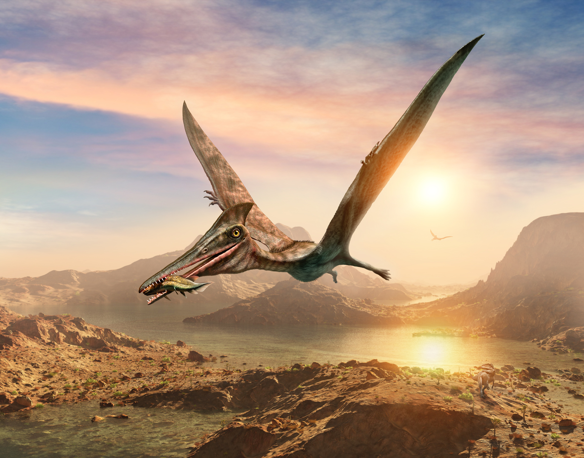 Pterosaurio