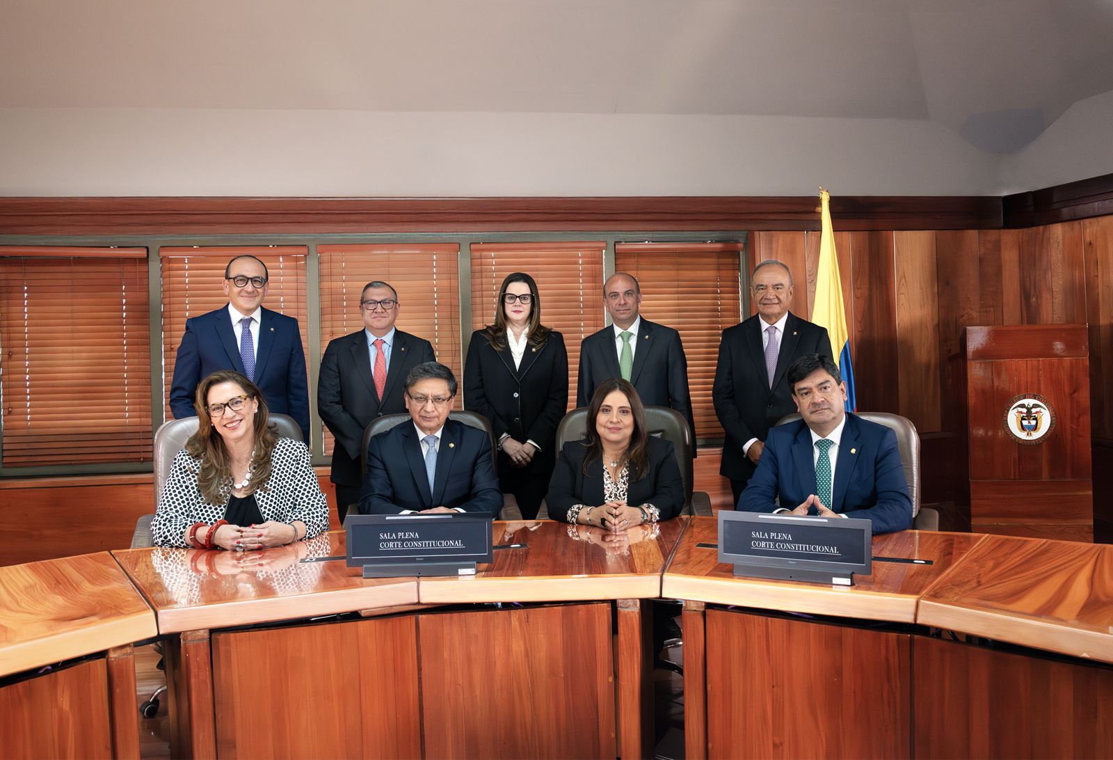 Sala plena Corte Constitucional.