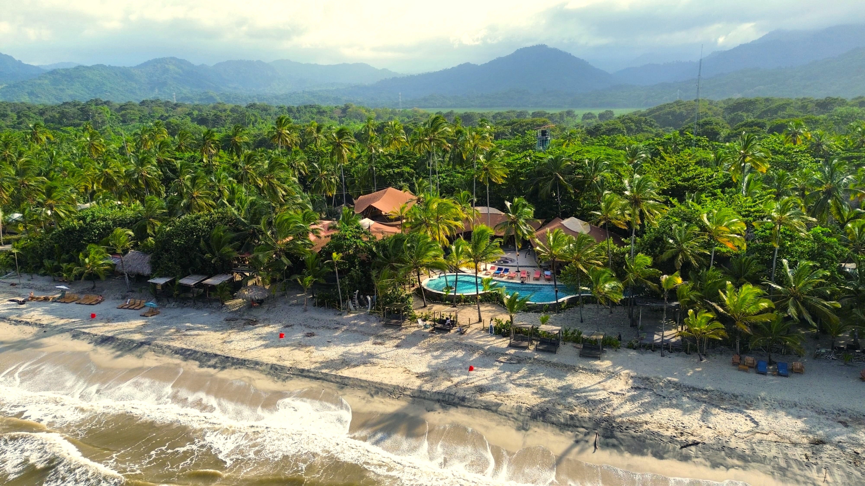 Masaya Tayrona
