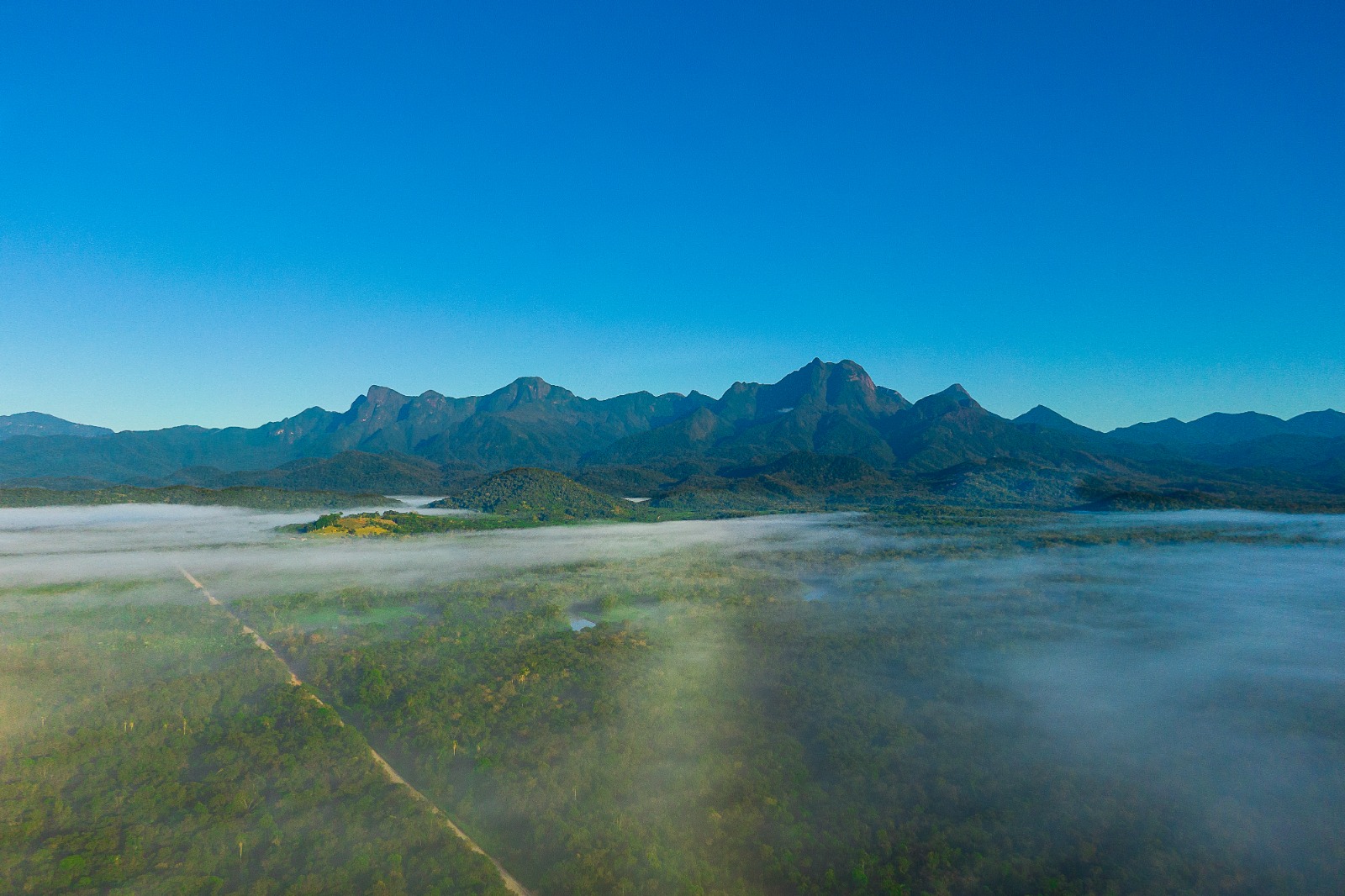 Marea Rezervație Forestieră Atlantică