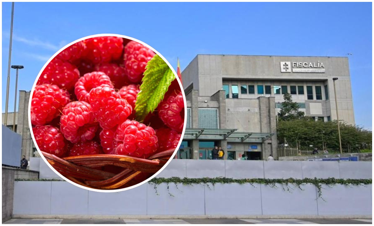 Caso de la muerte de dos menores en Bogotá envenenadas con talio en unas frambuesas