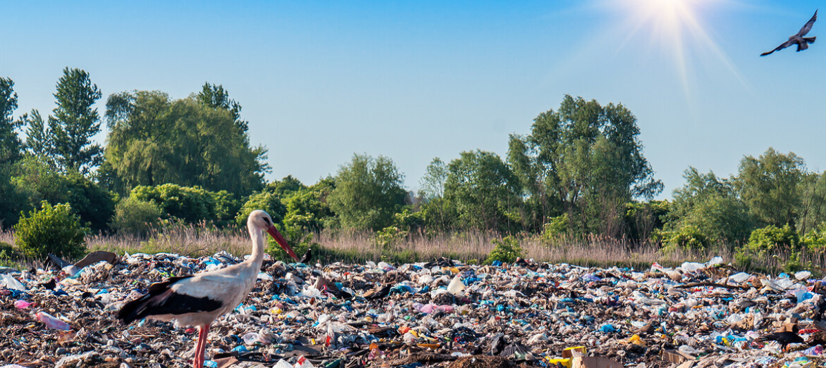 basura cigueña