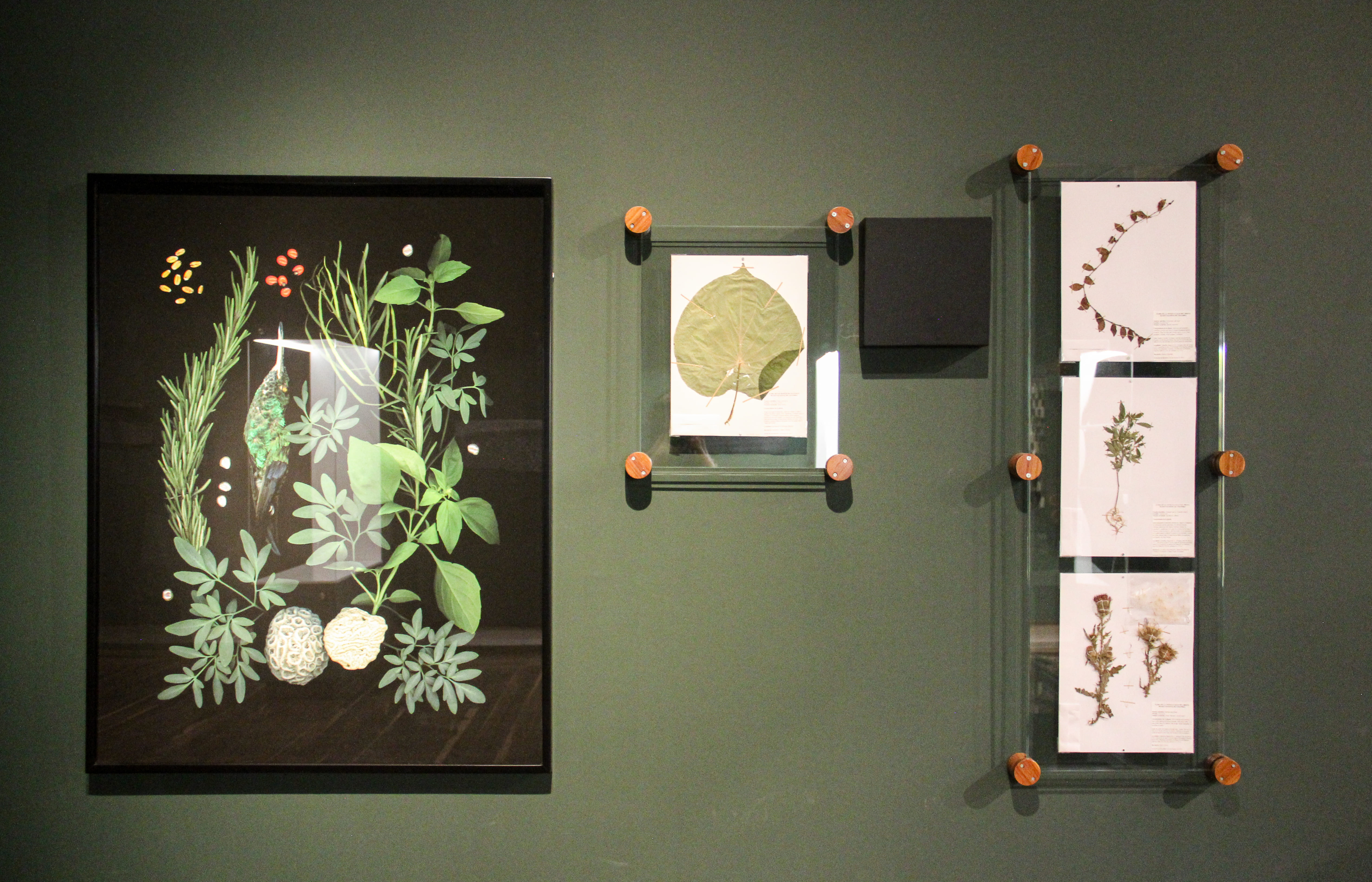 ExposiciónMuseo Nacional