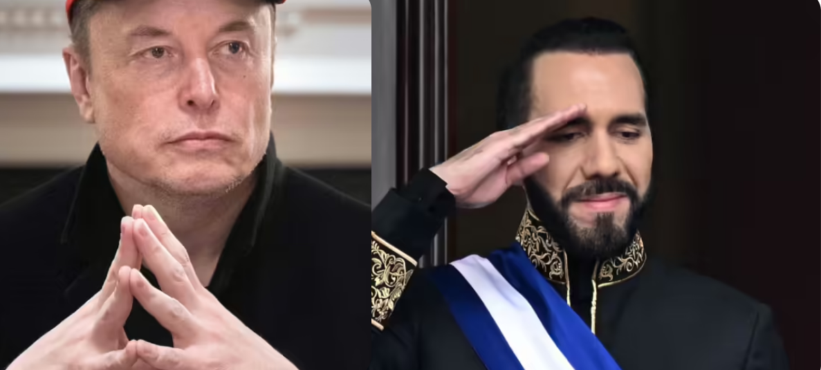 Elon Musk y Nayib Bukele