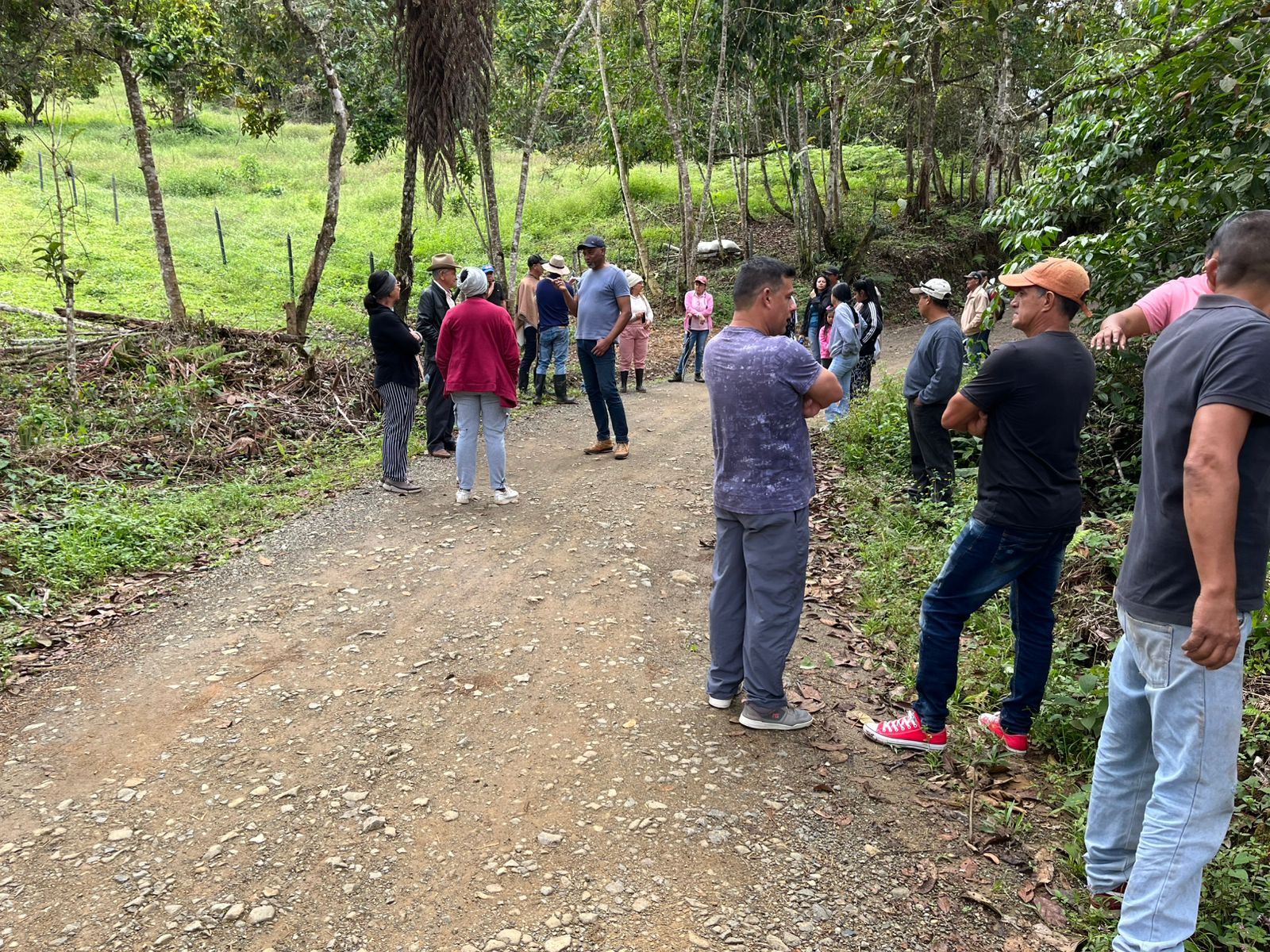 Habitantes de la zona rural de La Cumbre, Valle, temen construcción ilegal en predio protegido