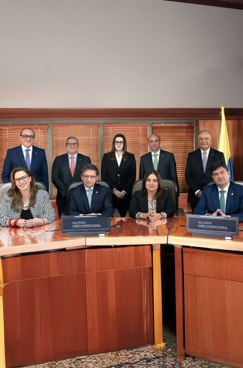 Corte Constitucional
