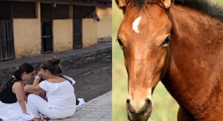 Niña murió al caer de un caballo
