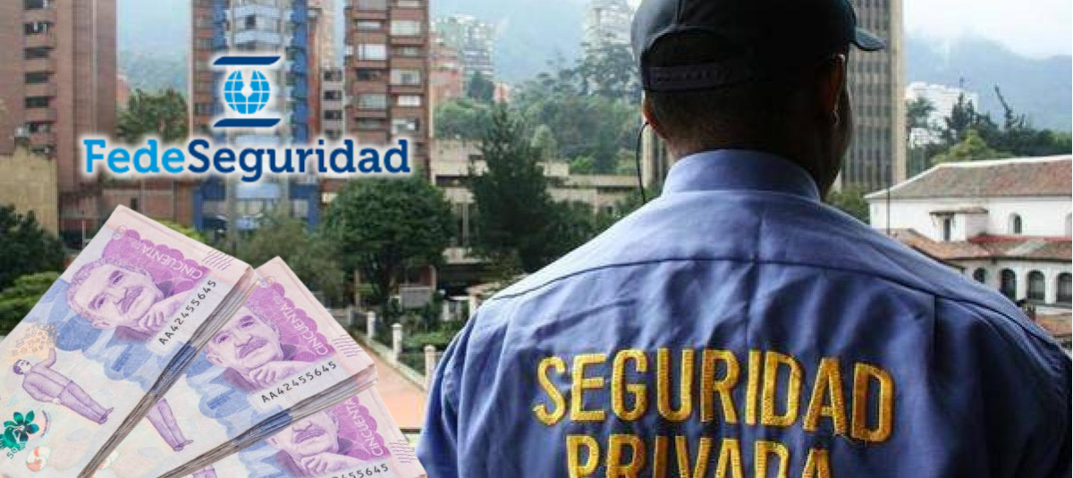 Fedeseguridad, seguridad privada.