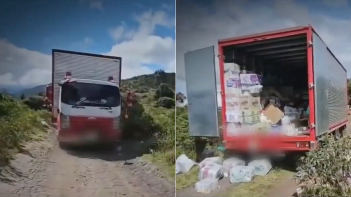 Robo un camion