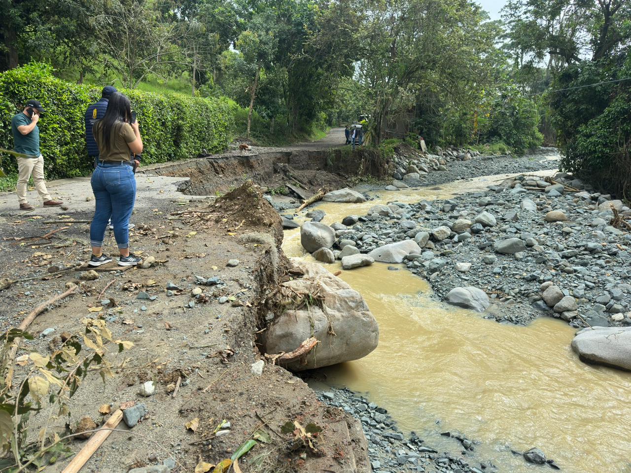 Valle del Cauca
