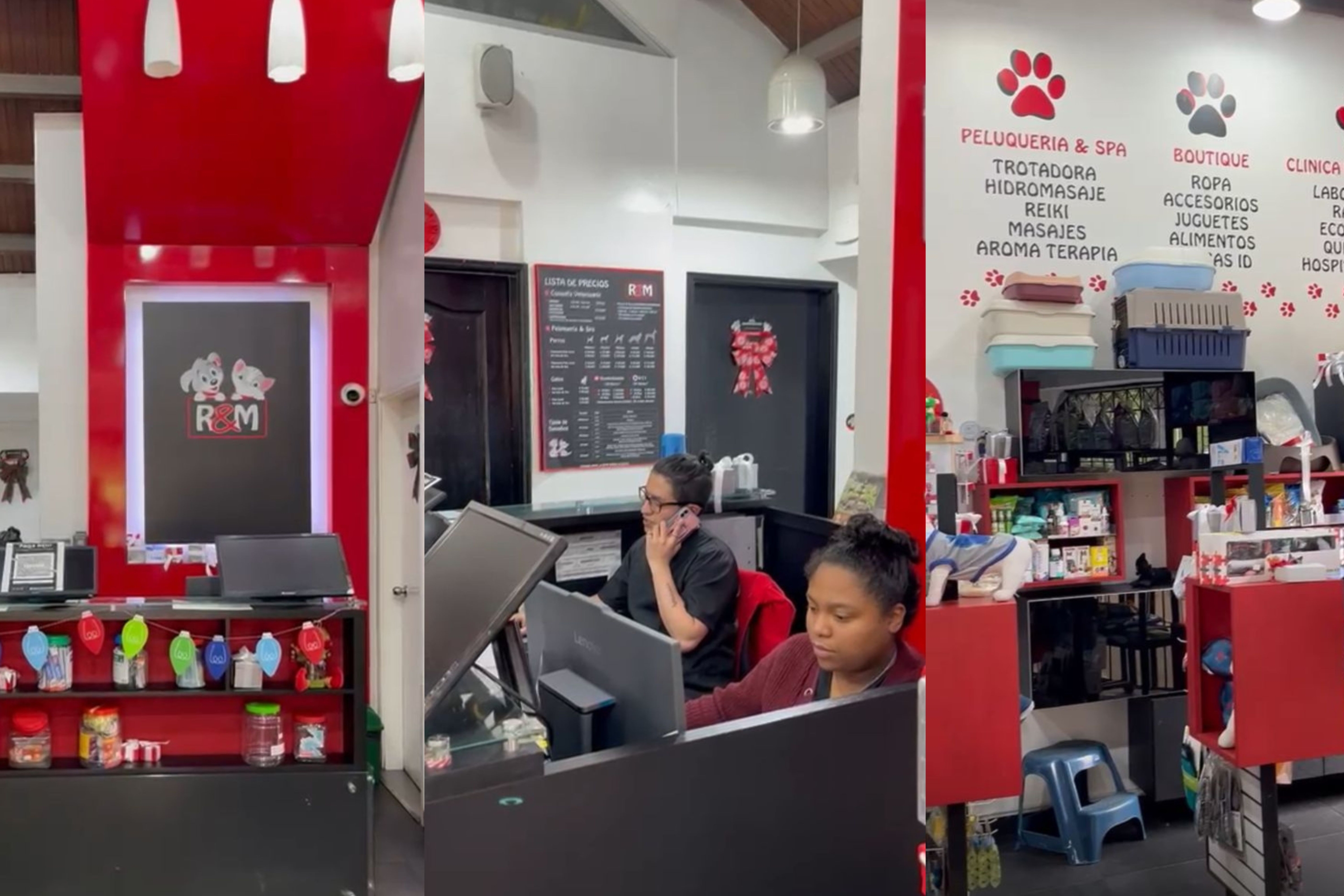 Clinica veterinaria en el norte de bogota