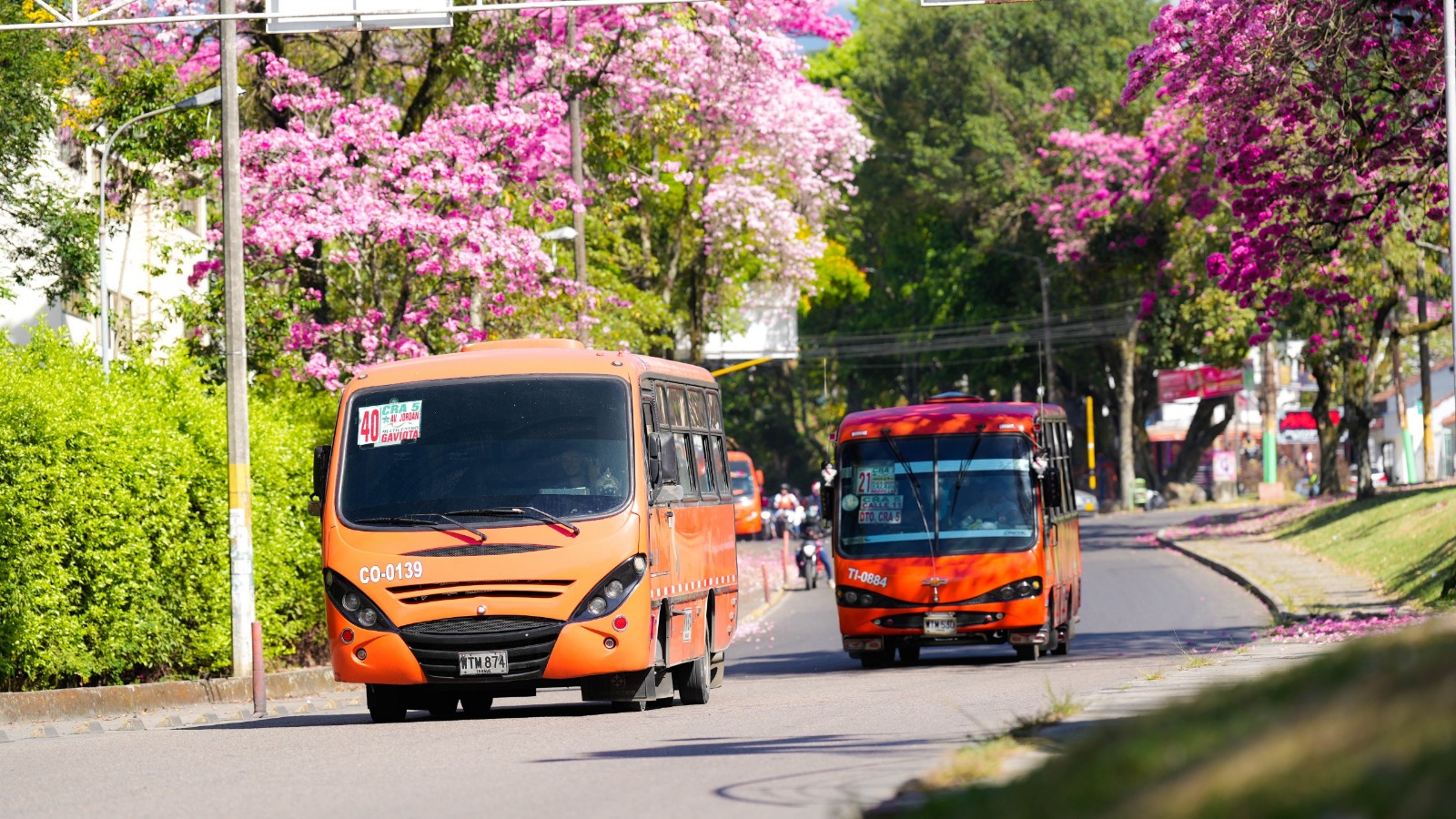 Estas son las tarifas de bus en Ibagué.