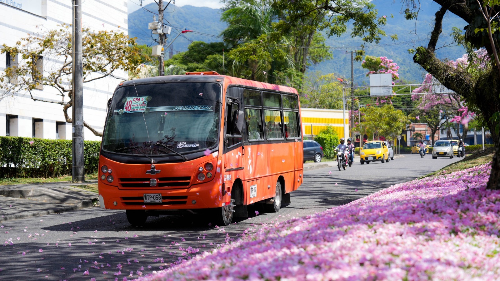 Estas son las tarifas de bus en Ibagué.