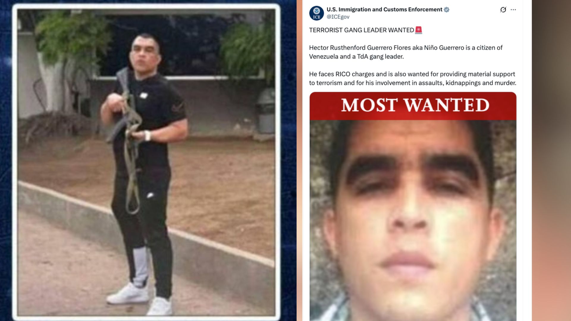 'Child Warrior' in the ICE search alert.