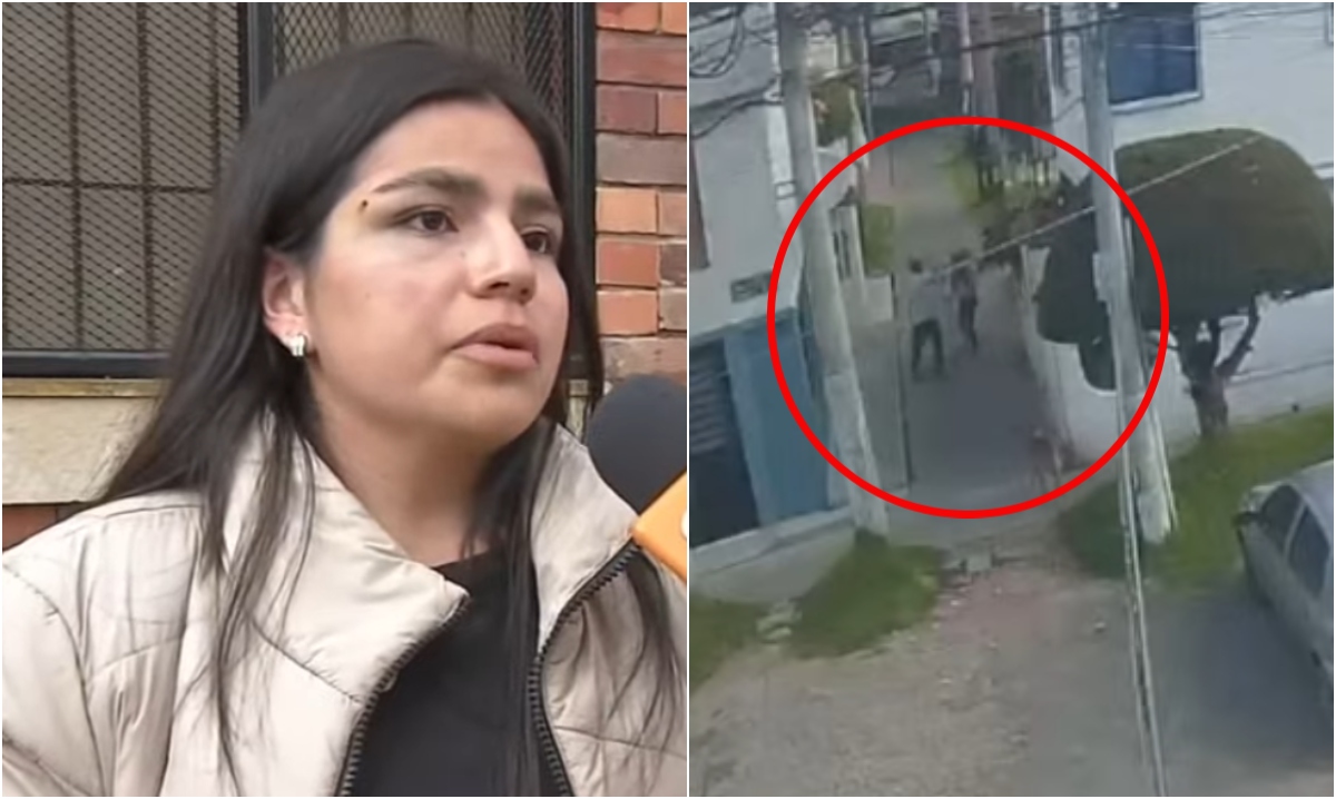Momento en el que mujer es atacada por un vecino tras defensor a su perro